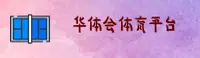 使用指南与常见问题